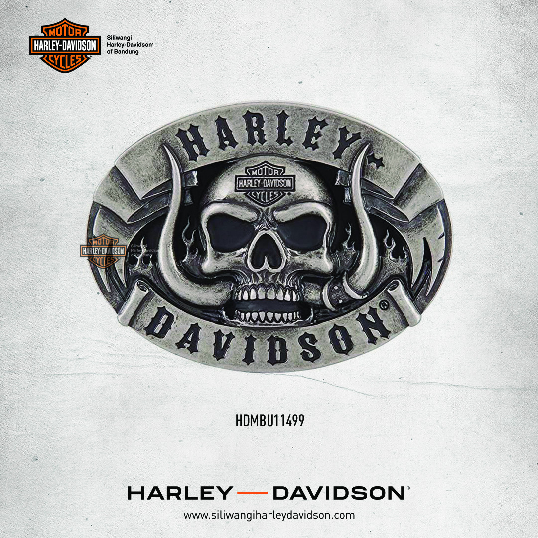 Detail Logo Harley Davidson Tengkorak Nomer 31