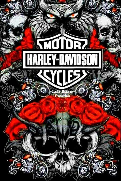 Detail Logo Harley Davidson Tengkorak Nomer 37