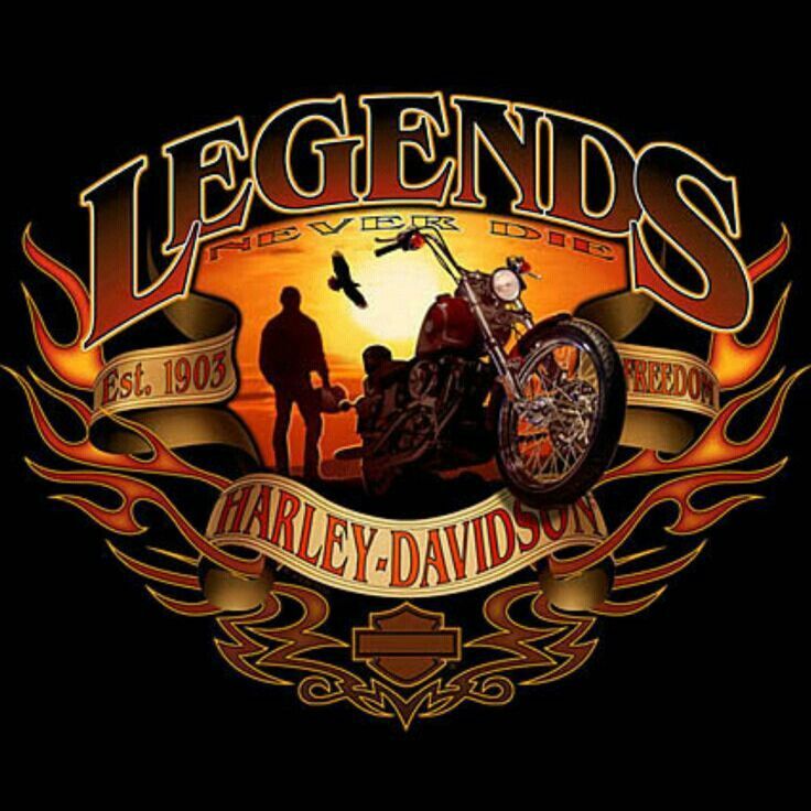 Download Logo Harley Davidson Tengkorak Nomer 5