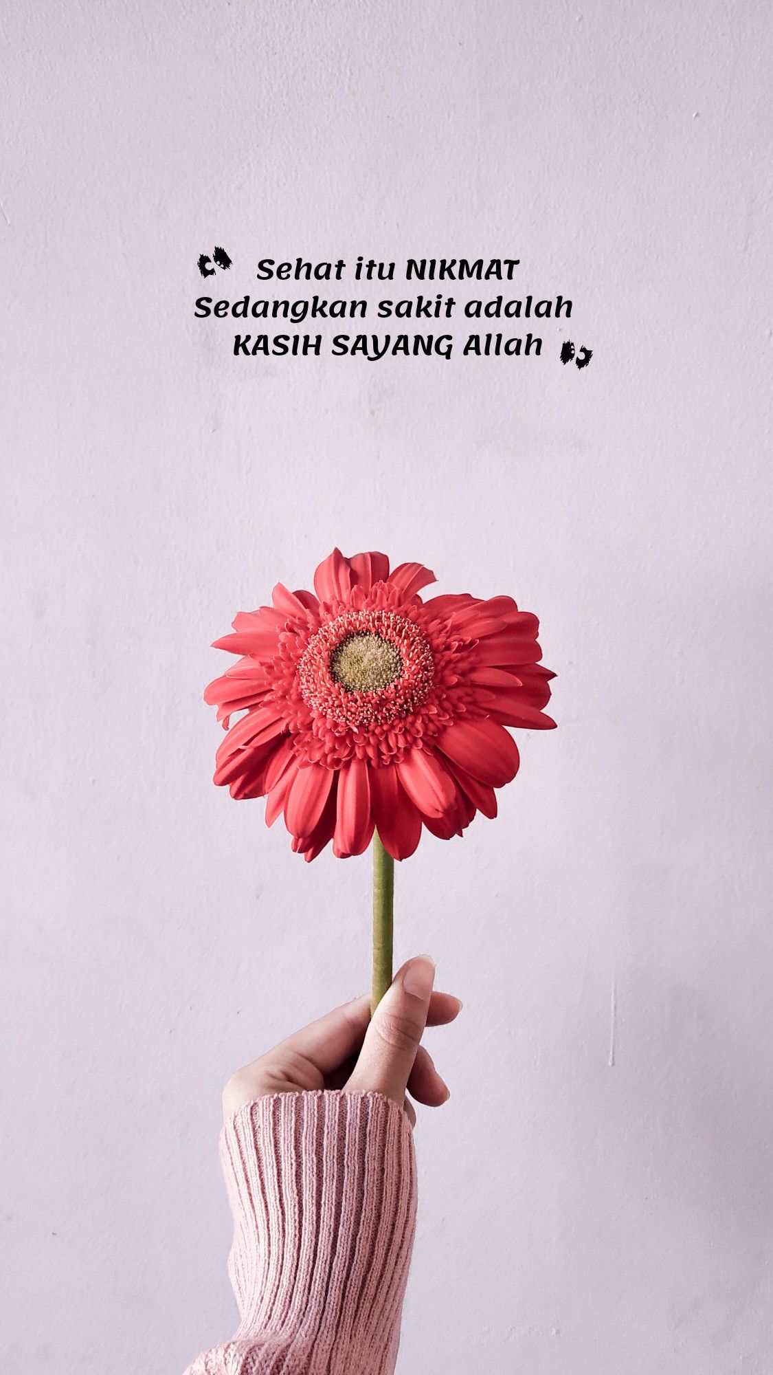Detail Nikmat Sehat Quotes Nomer 2