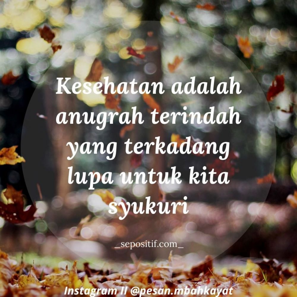 Detail Nikmat Sehat Quotes Nomer 24