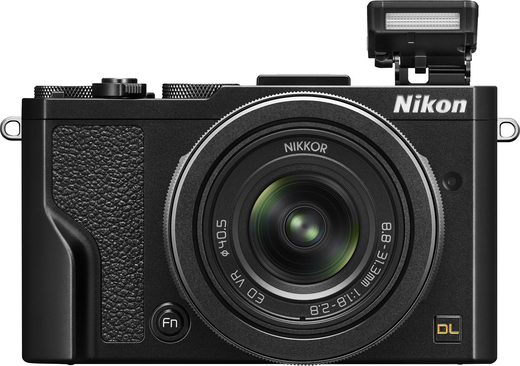 Detail Nikon Dl24 85 Nomer 4