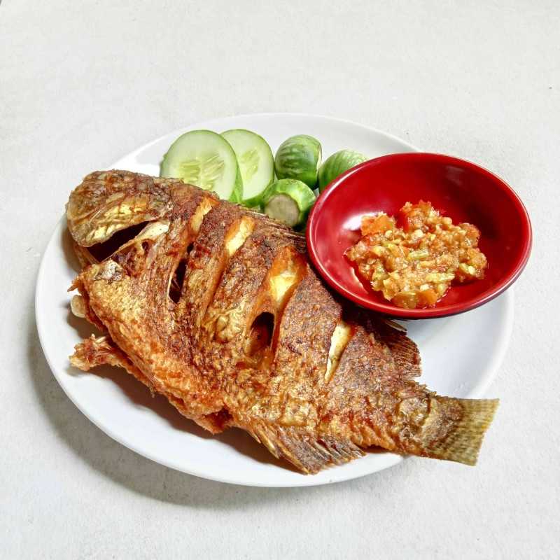 Nila Goreng Png - KibrisPDR