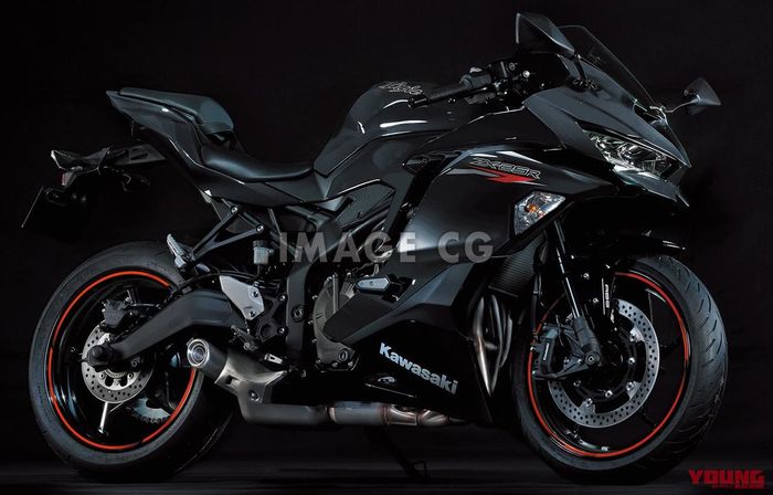 Detail Ninja 250 Hitam Doff Nomer 22