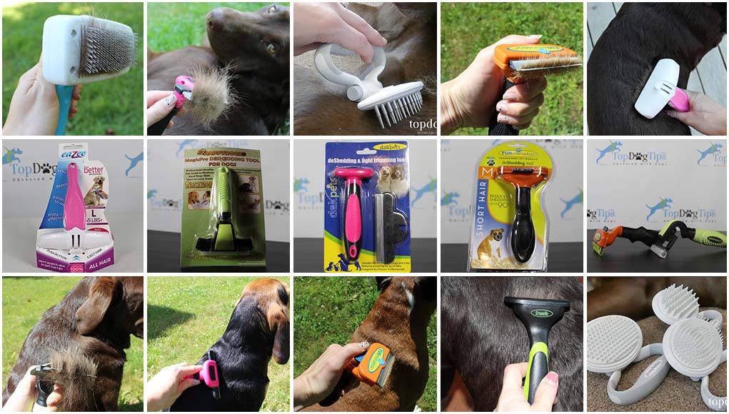 Detail Ninja Comb For Dogs Nomer 21