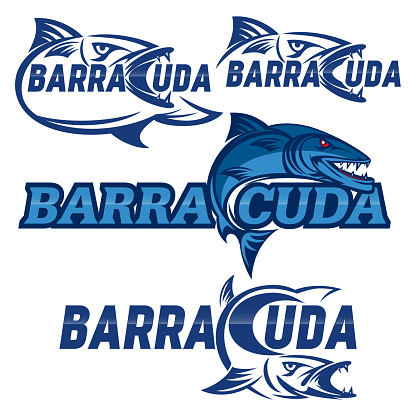 Detail Logo Ikan Barakuda Nomer 9