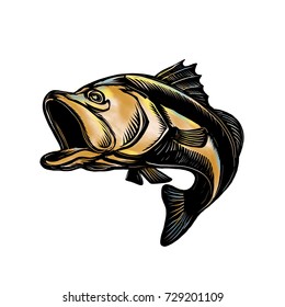 Detail Logo Ikan Barramundi Nomer 12