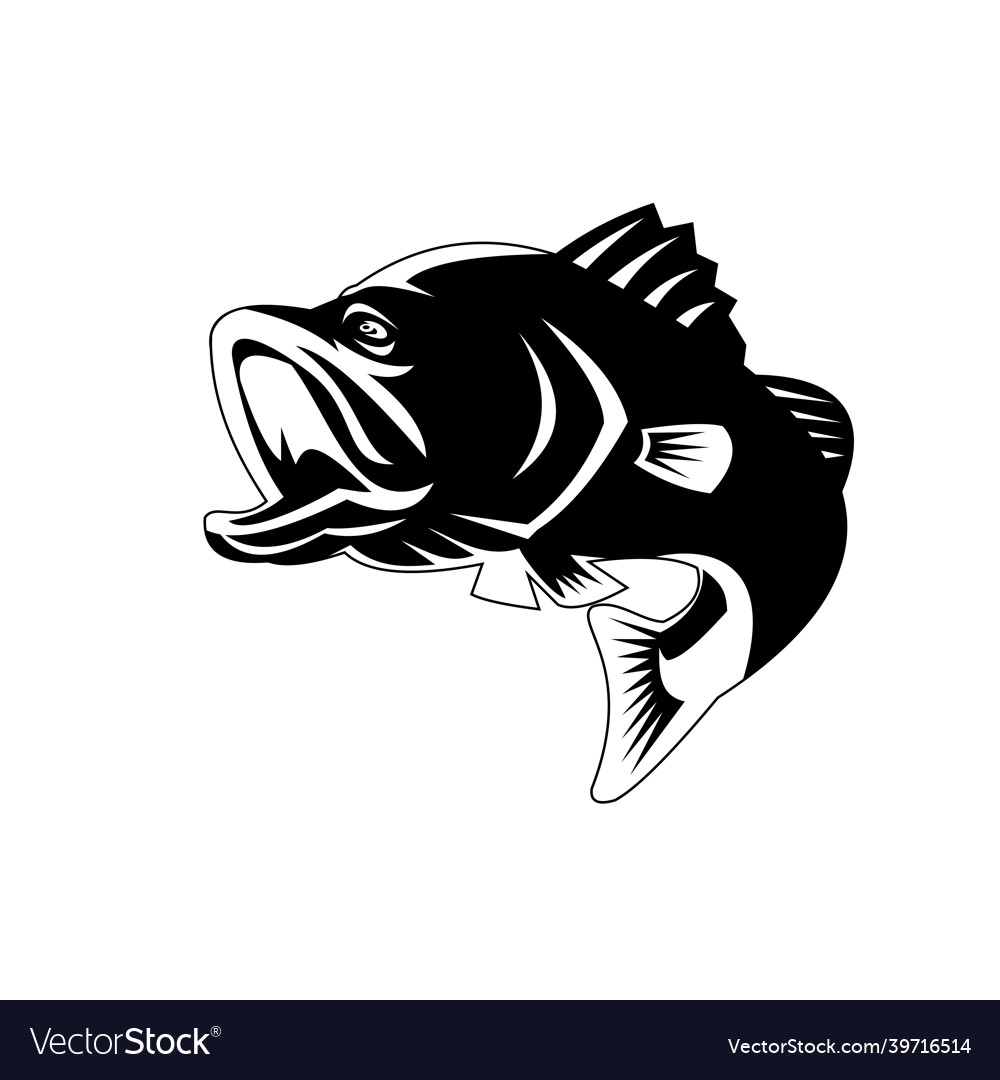 Detail Logo Ikan Barramundi Nomer 16