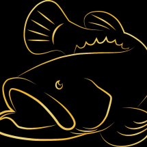Detail Logo Ikan Barramundi Nomer 21