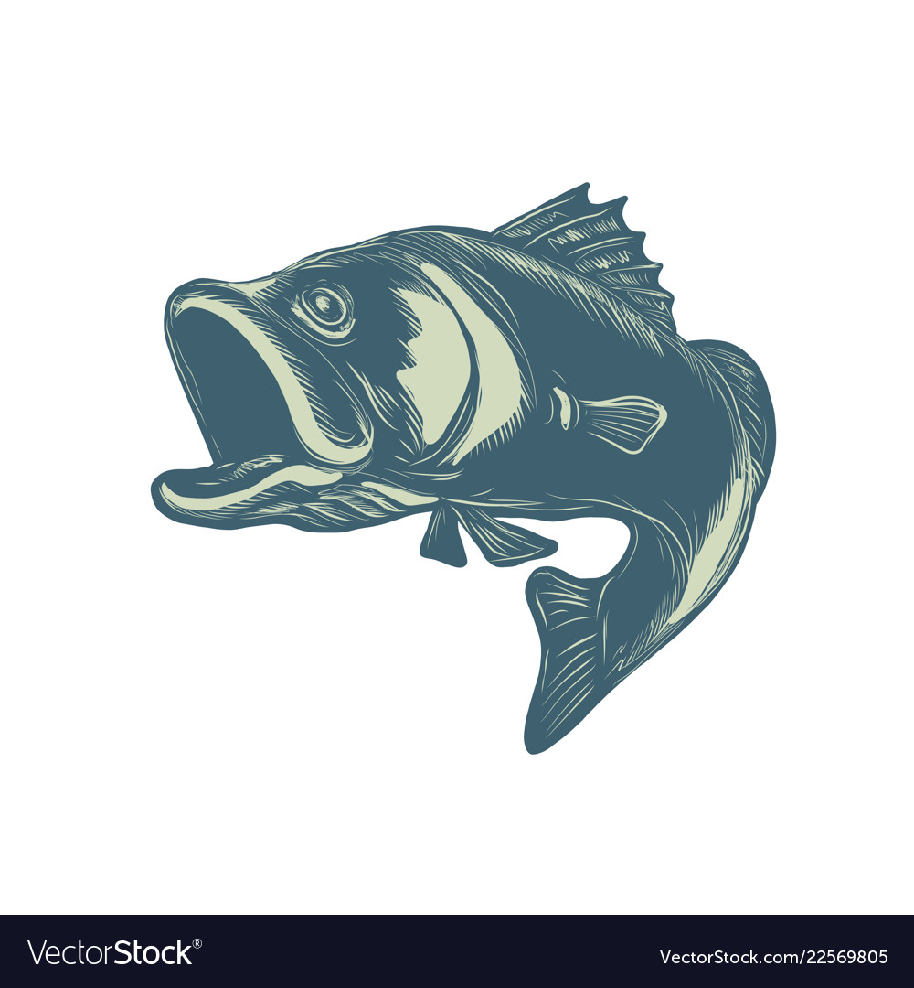 Detail Logo Ikan Barramundi Nomer 24