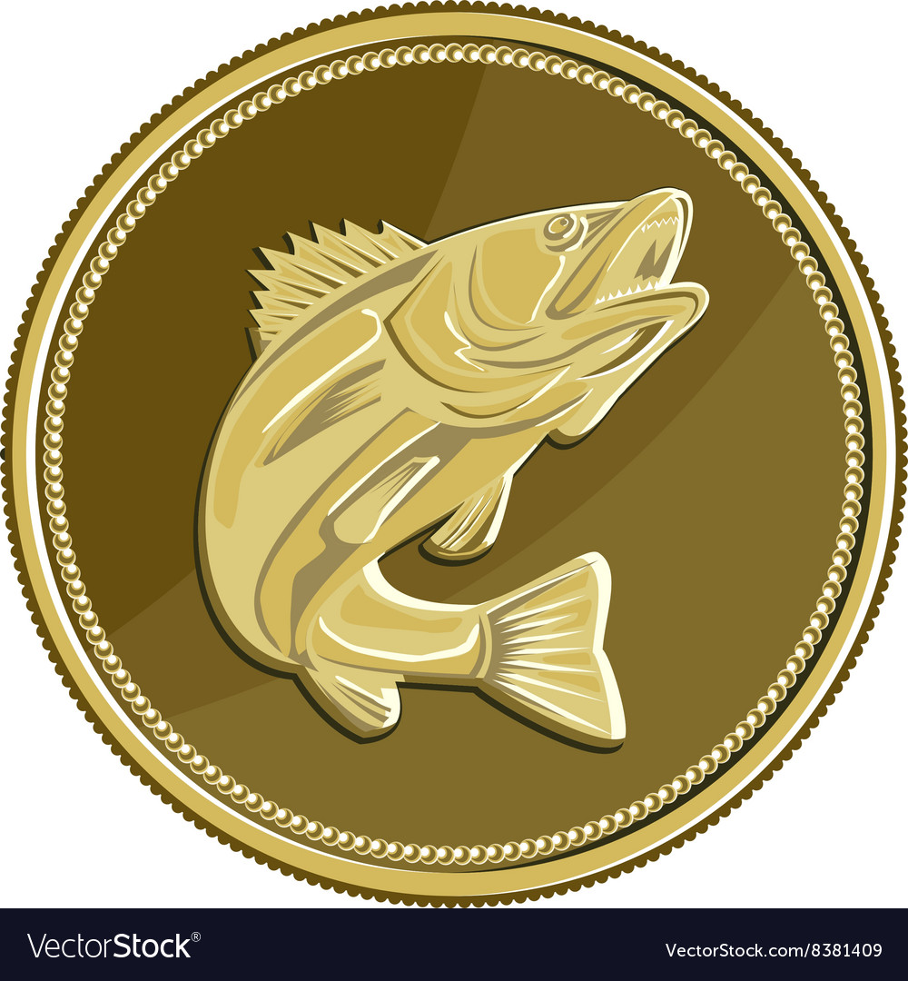 Detail Logo Ikan Barramundi Nomer 41