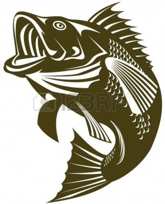 Detail Logo Ikan Barramundi Nomer 9