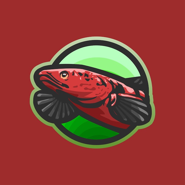 Detail Logo Ikan Channa Keren Nomer 17