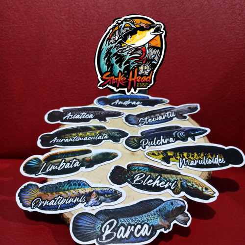 Detail Logo Ikan Channa Keren Nomer 25