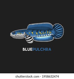 Detail Logo Ikan Channa Keren Nomer 33