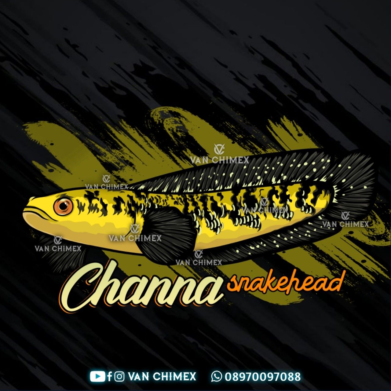 Detail Logo Ikan Channa Keren Nomer 37