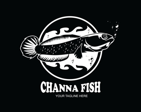Detail Logo Ikan Channa Keren Nomer 41
