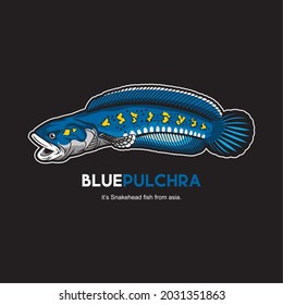 Detail Logo Ikan Channa Png Nomer 13