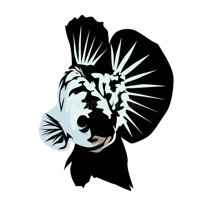 Detail Logo Ikan Cupang Hias Nomer 40