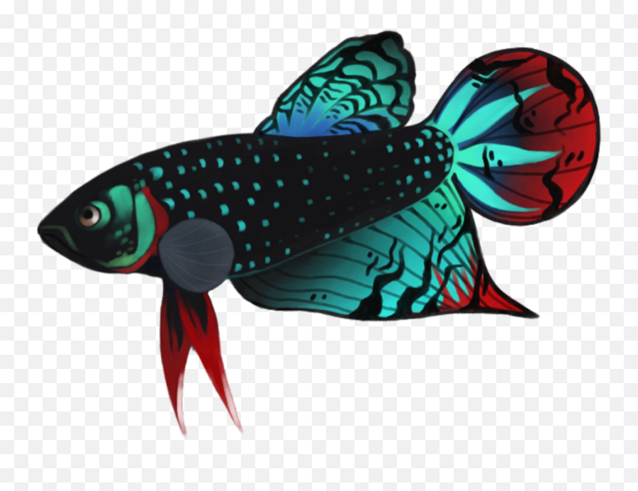 Detail Logo Ikan Cupang Hias Nomer 44