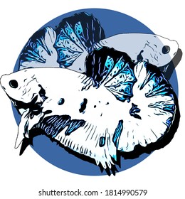 Detail Logo Ikan Cupang Hias Nomer 8