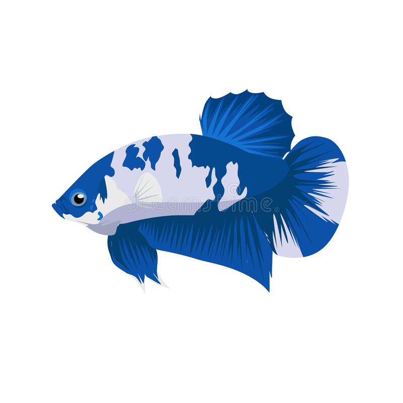 Detail Logo Ikan Cupang Keren Nomer 52
