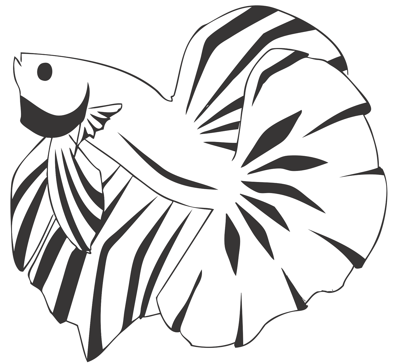 Detail Logo Ikan Cupang Png Nomer 30