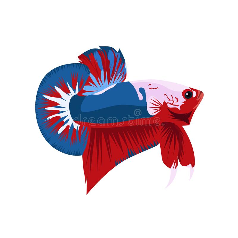 Detail Logo Ikan Cupang Vector Nomer 12