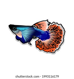 Detail Logo Ikan Guppy Vector Nomer 14