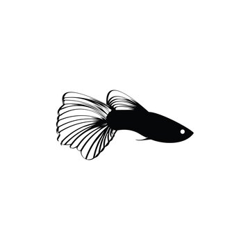Detail Logo Ikan Guppy Vector Nomer 57