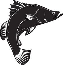 Detail Logo Ikan Kakap Nomer 8