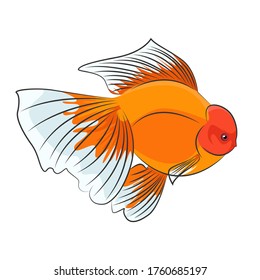 Detail Logo Ikan Koki Nomer 8
