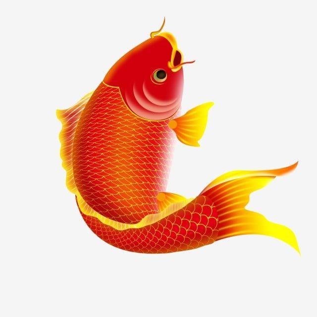 Detail Logo Ikan Mas Keren Nomer 42