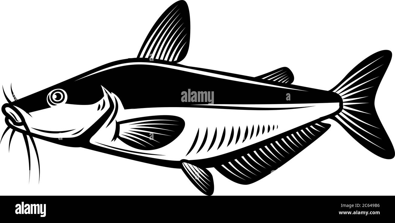 Detail Logo Ikan Patin Nomer 14