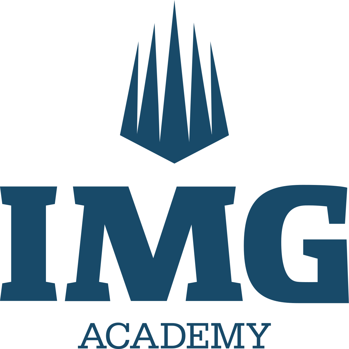 Detail Logo Img Nomer 2