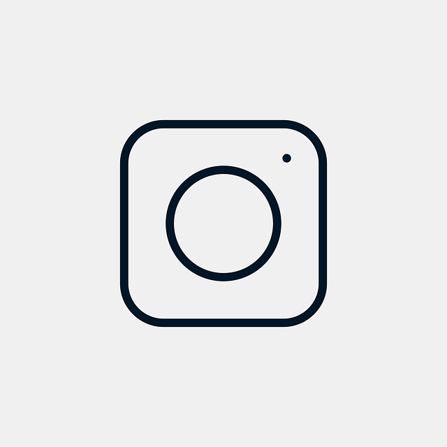 Detail Logo Insta Nomer 52