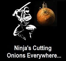 Detail Ninja Cutting Onions Nomer 8