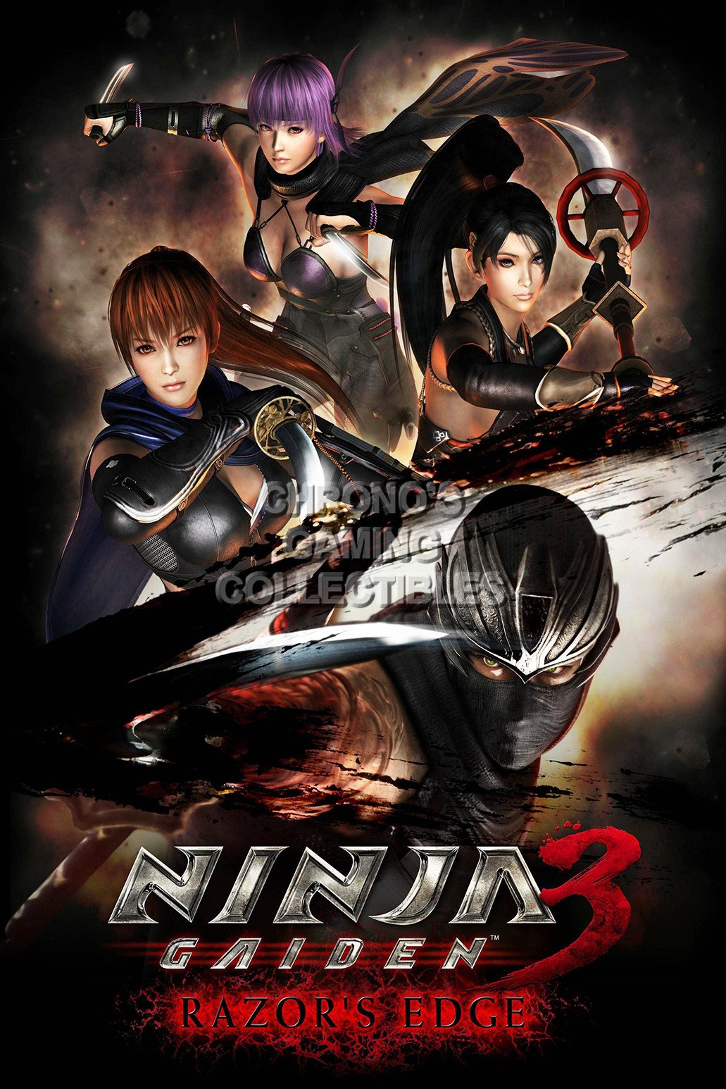 Detail Ninja Gaiden 3 Razors Edge Kasumi Nomer 35
