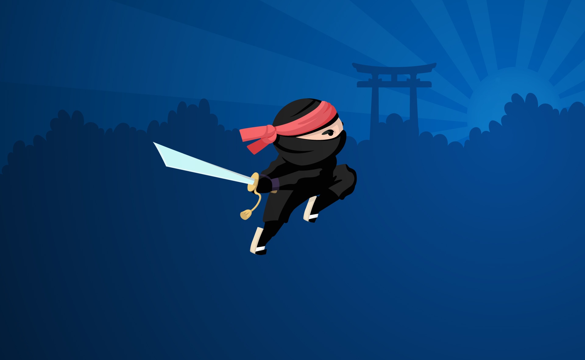 Detail Ninja Image Nomer 8