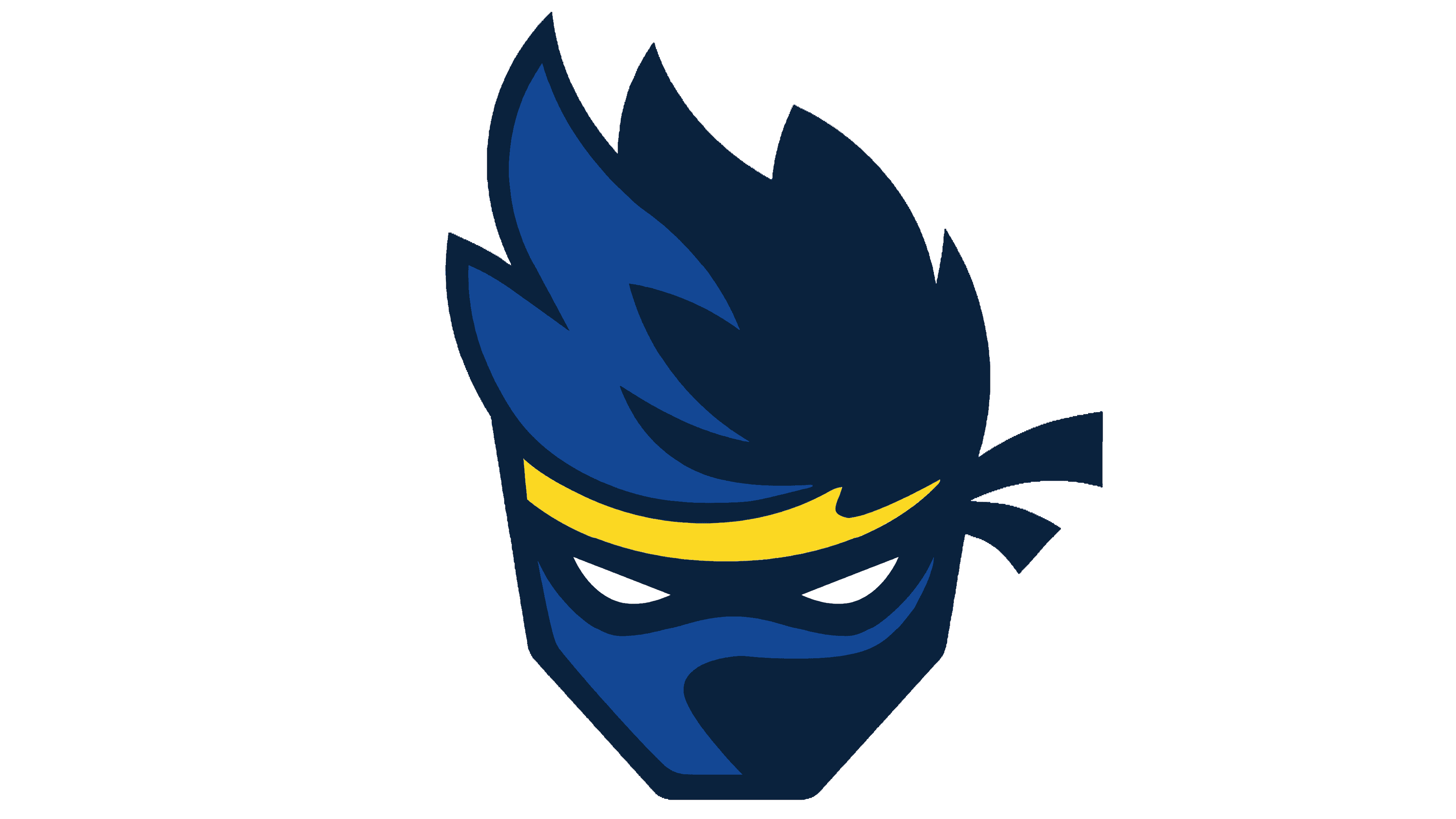 Ninja Logo - KibrisPDR