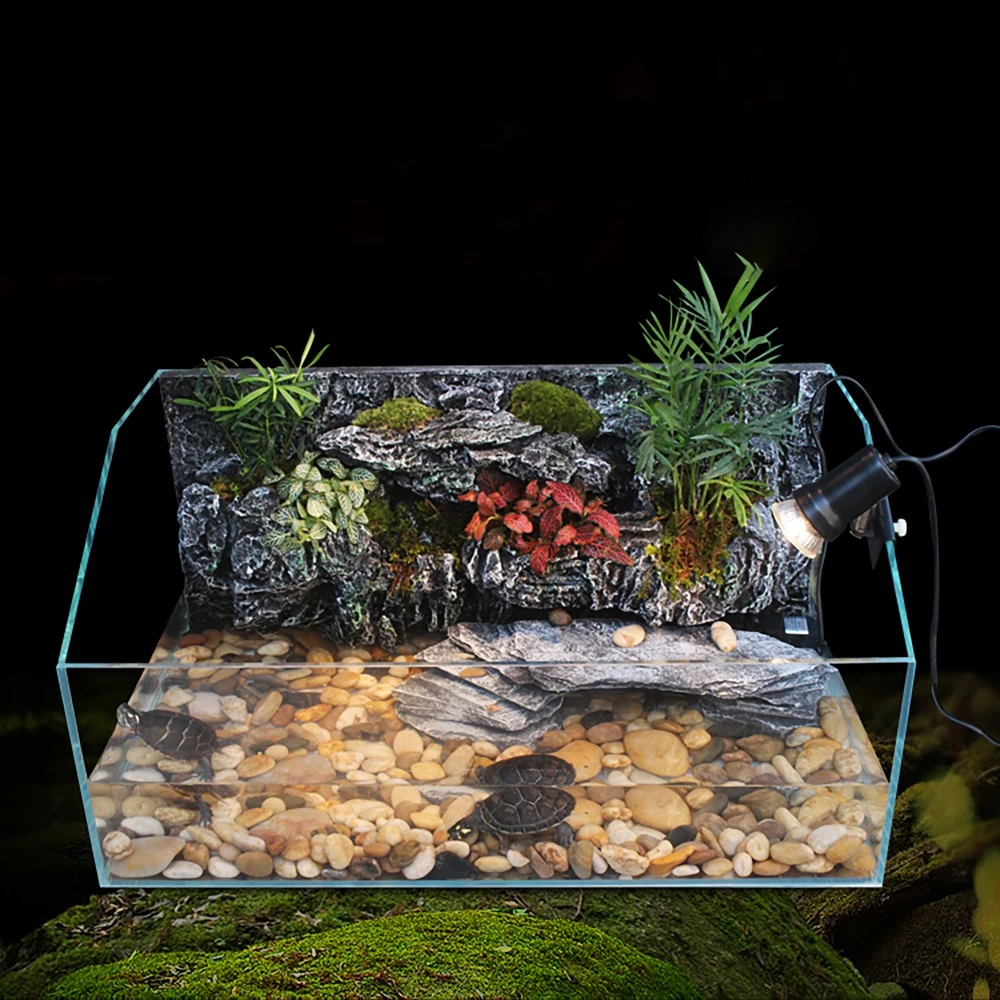 Detail Ninja Turtle Aquarium Background Nomer 19