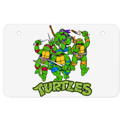 Detail Ninja Turtle Atv Nomer 51