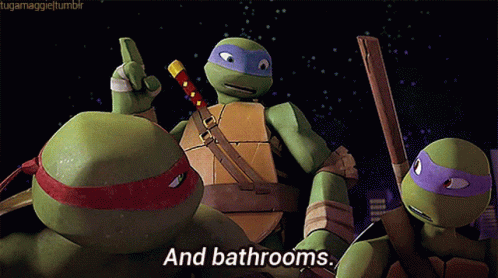 Detail Ninja Turtle Bathroom Nomer 56