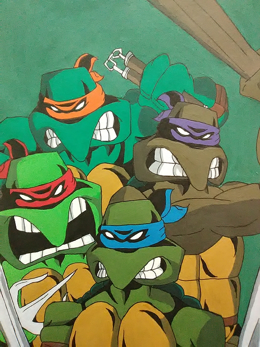 Detail Ninja Turtle Beach Towels Nomer 24