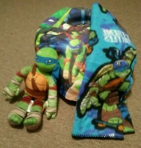 Detail Ninja Turtle Bean Bag Nomer 18