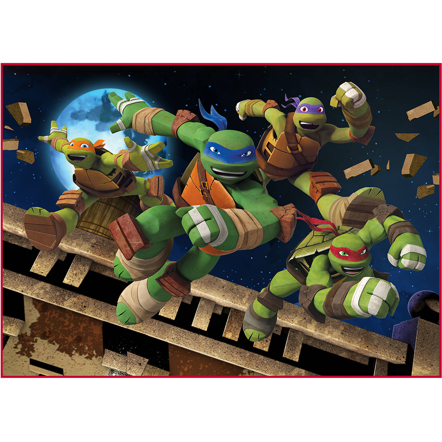 Detail Ninja Turtle Bedroom Rug Nomer 2