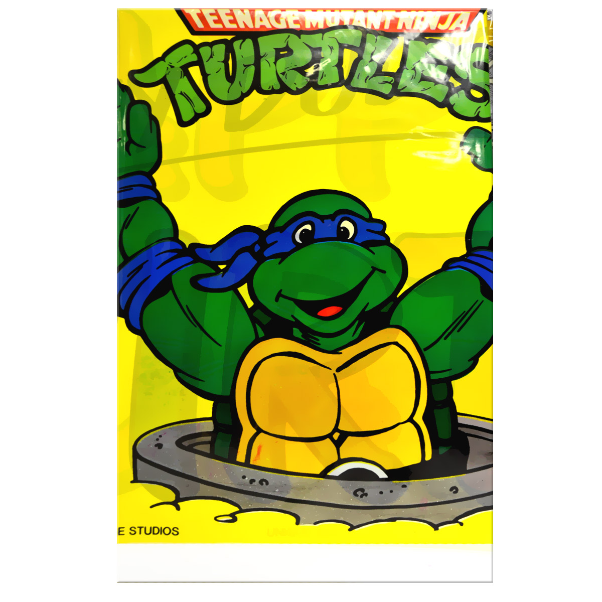 Detail Ninja Turtle Birthday Banners Nomer 44