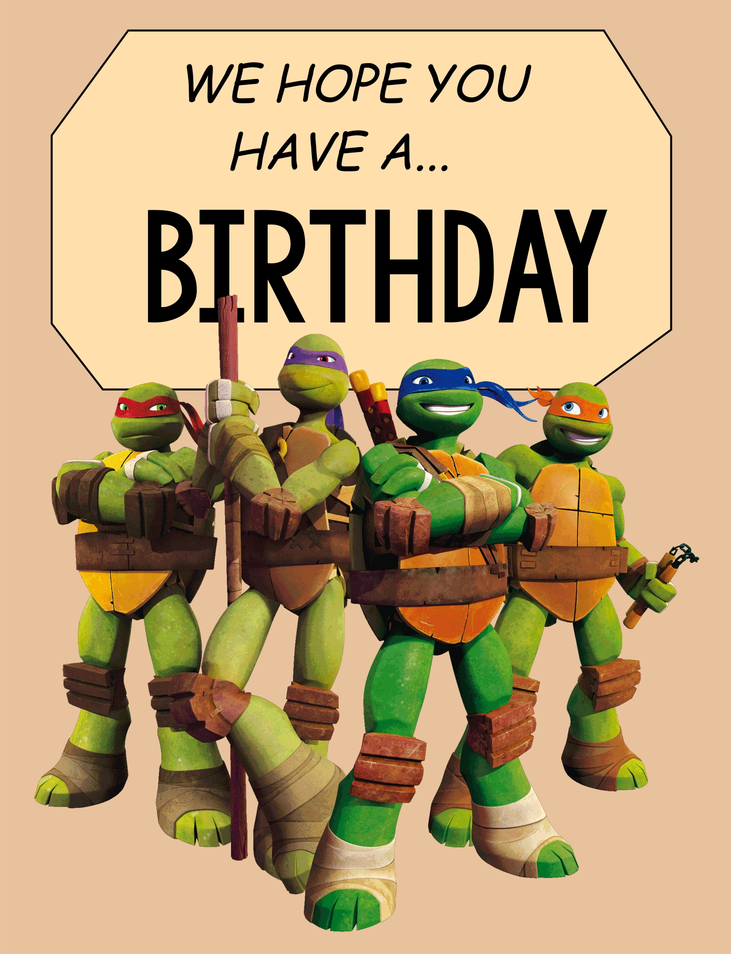 Detail Ninja Turtle Birthday Images Nomer 20