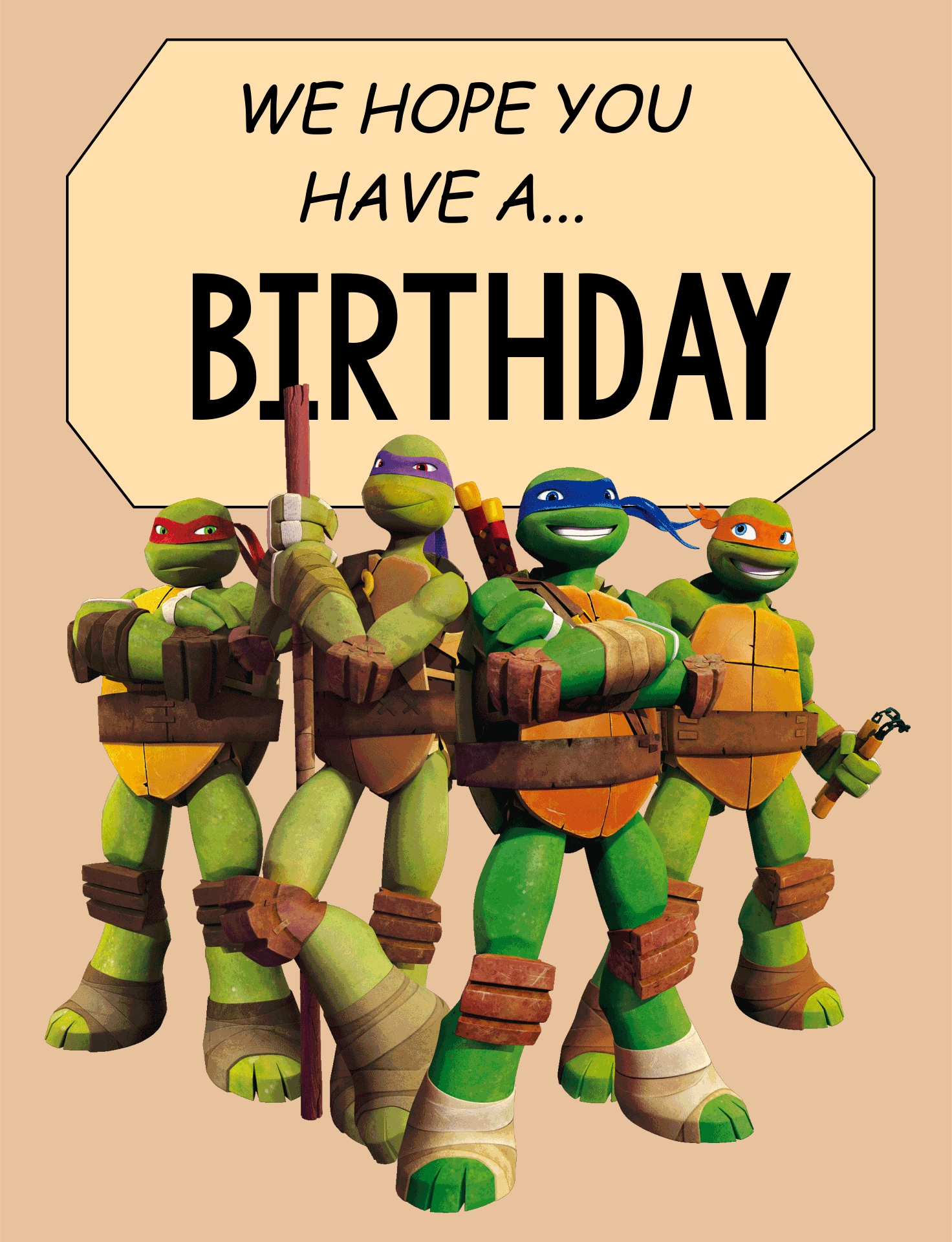 Detail Ninja Turtle Birthday Pictures Nomer 16