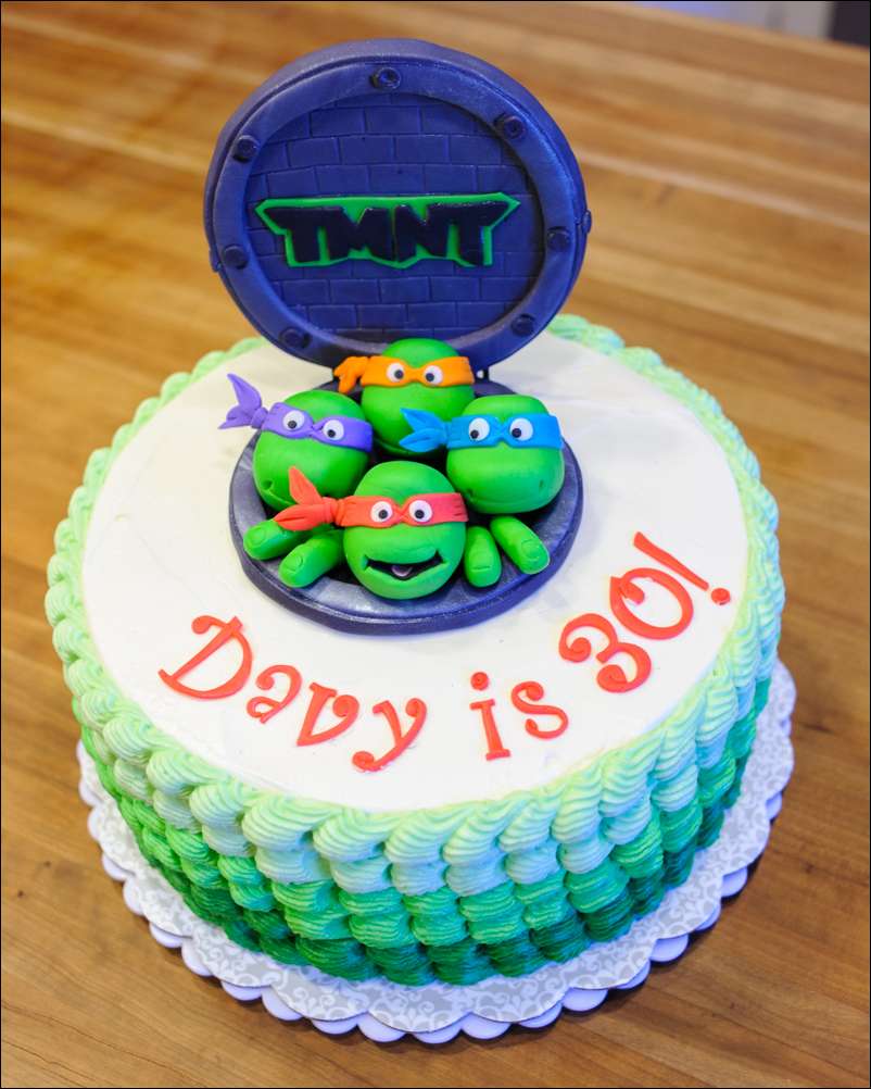 Detail Ninja Turtle Cake Design Nomer 31